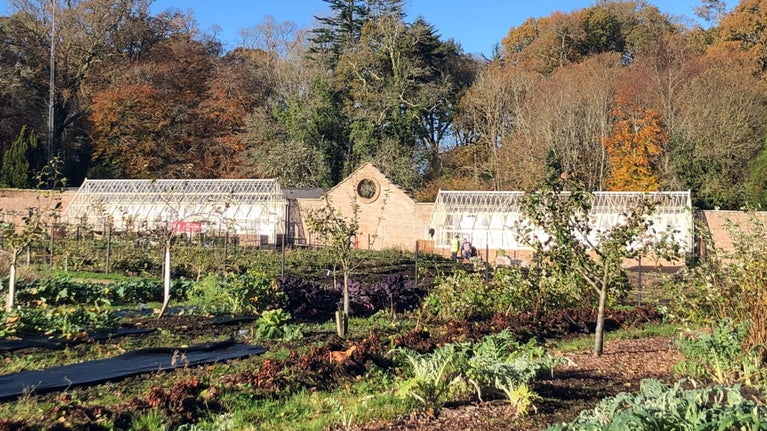 View of newly installed glasshouses in autumn in the kitchen garden, Florence Court, Co. Fermanagh